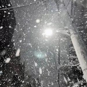 痴梦少女全集免费播放完整版下载
